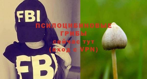 МДПВ Алексеевка