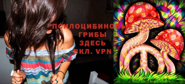 МДПВ Алексеевка