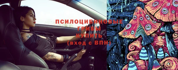 гашик Алзамай