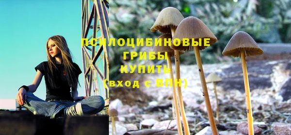 МДПВ Алексеевка