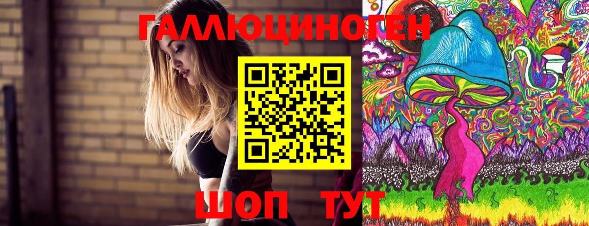 Псилоцибиновые грибы Cubensis  Вход с VPN  сколько стоит  Павлово 