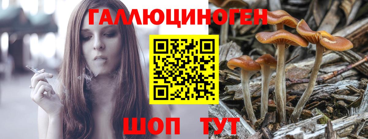 Псилоцибиновые грибы прущие грибы Павлово
